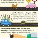 City Driving Tips to Save Fuel - City Driving Tips